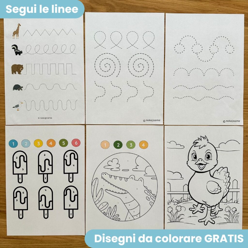 Pacchetto Mega Montessori: alfabeto italiano, numeri, matematica, tracciati e disegni da colorare (PDF)