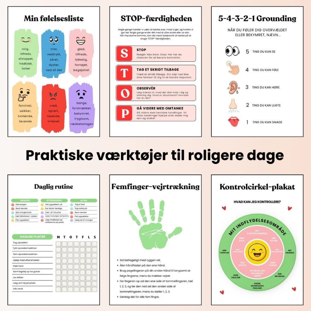 System til mere rolige rutiner og færre følelsesudbrud