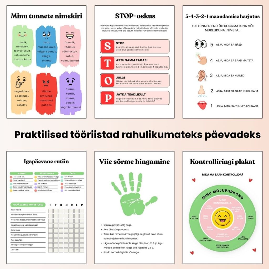 Rahulikumad rutiinid ja vähem emotsioonipuhanguid – süsteem kogu perele