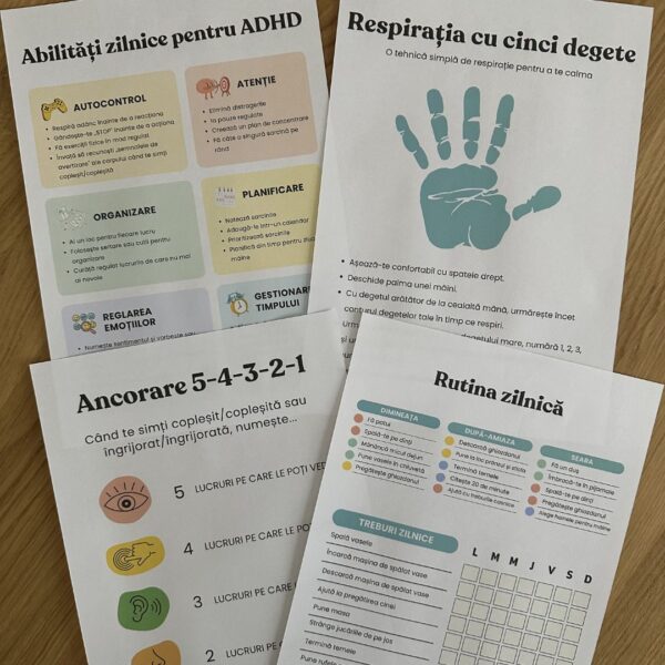 Sistem pentru Calm, Concentrare și Rutine în ADHD
